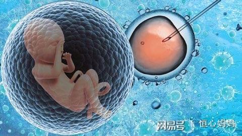 精液分析